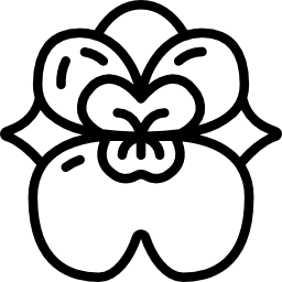 ラン科 icon