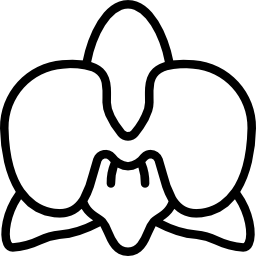 난초과 icon
