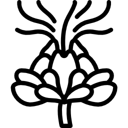 Safflower icon