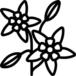 トウダイグサ icon