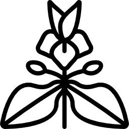 トウダイグサ icon