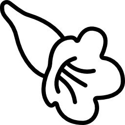 Gesneriad icon