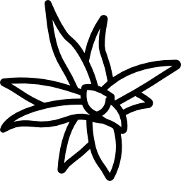 Bromeliaceae icon