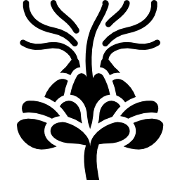 Safflower icon