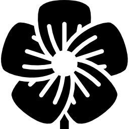 linaza icono