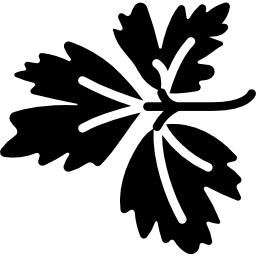 perejil icono