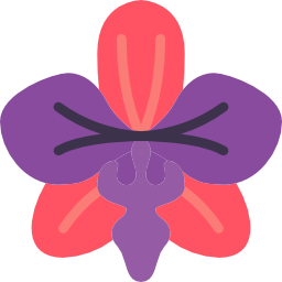 orchidacee icona