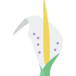 arum icon
