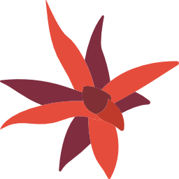 bromeliaceae icon