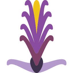 Acanthaceae icon