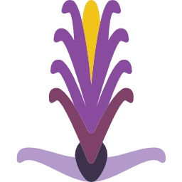 acanthaceae ikona