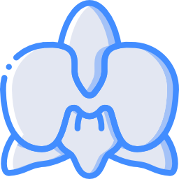 orchidaceae icon