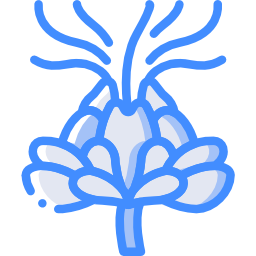 saffloer icoon