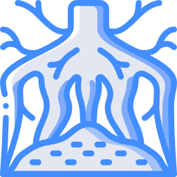 Root icon