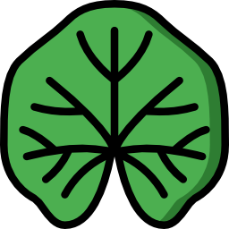 アオイ科の植物 icon