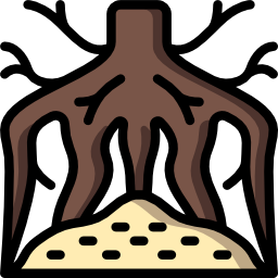 raíz icono