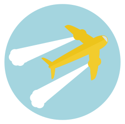 Fly icon