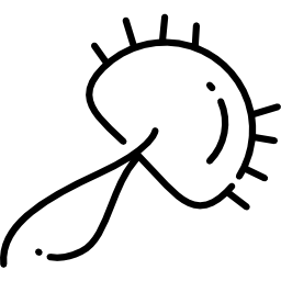 staphylococcus icon