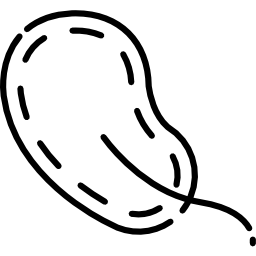 tetracoco icono