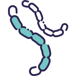 Bacillus icon