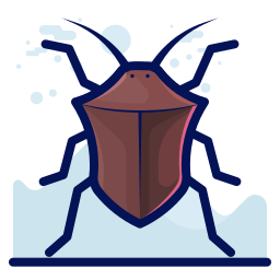 昆虫 icon