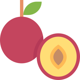 fruta icono