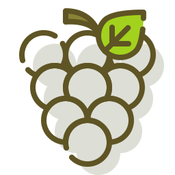 Fruit icon