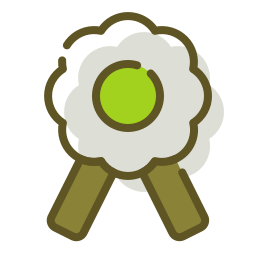 Medal icon