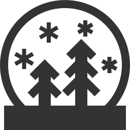 Winter icon