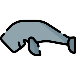 dugongo Ícone