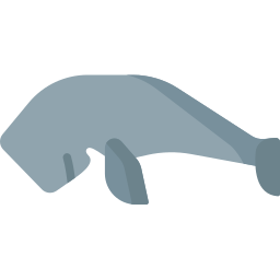 dugong Icône