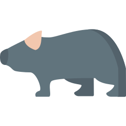 wombat Ícone