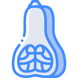 butternut icona