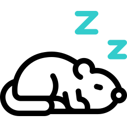 Sleep icon