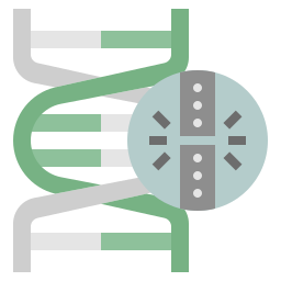 adn Icône