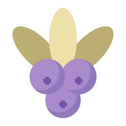 Berry icon