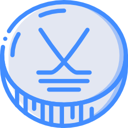 puck icon