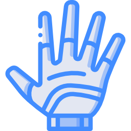 Glove icon