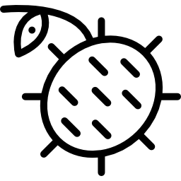 ramboutan Icône