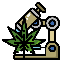 gesundheitspflege icon