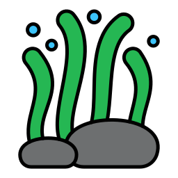 algue Icône
