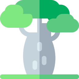 Baobab icon
