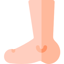 Foot icon