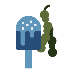 Fruit icon