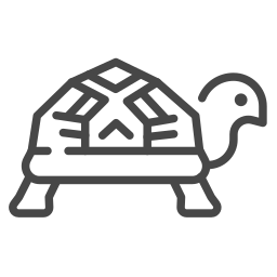 sulcata icon