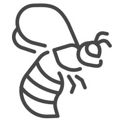 Insect icon