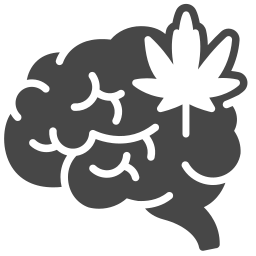 Brain icon