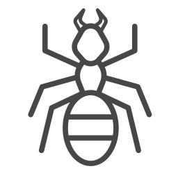 Insect icon