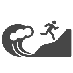 Disaster icon