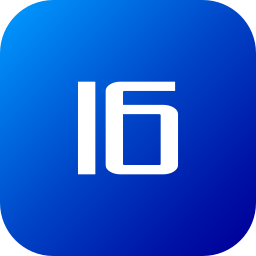 16 icon